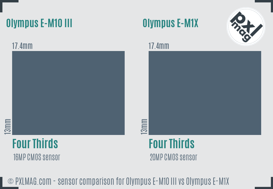 Olympus E-M10 III vs Olympus E-M1X sensor size comparison