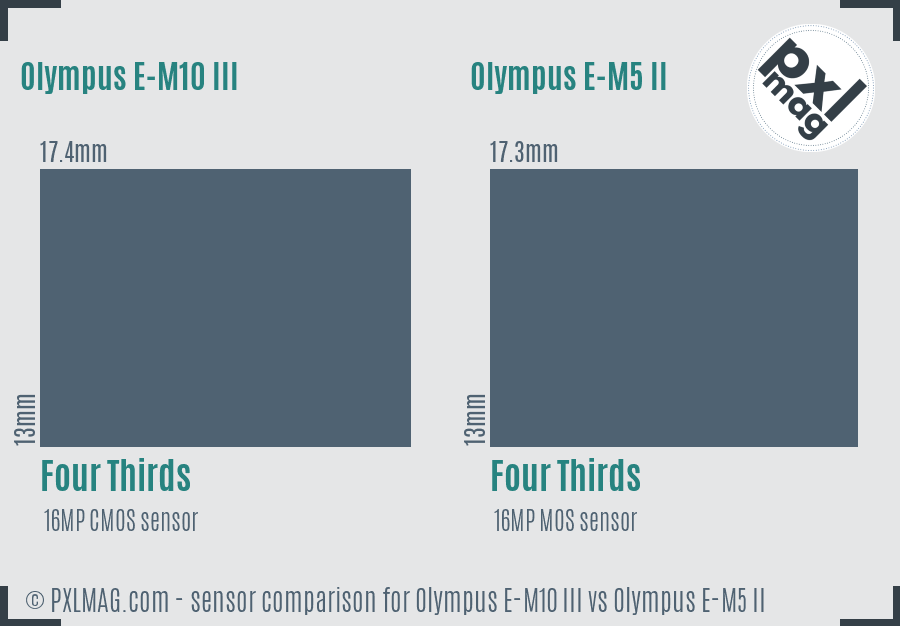 Olympus E-M10 III vs Olympus E-M5 II sensor size comparison