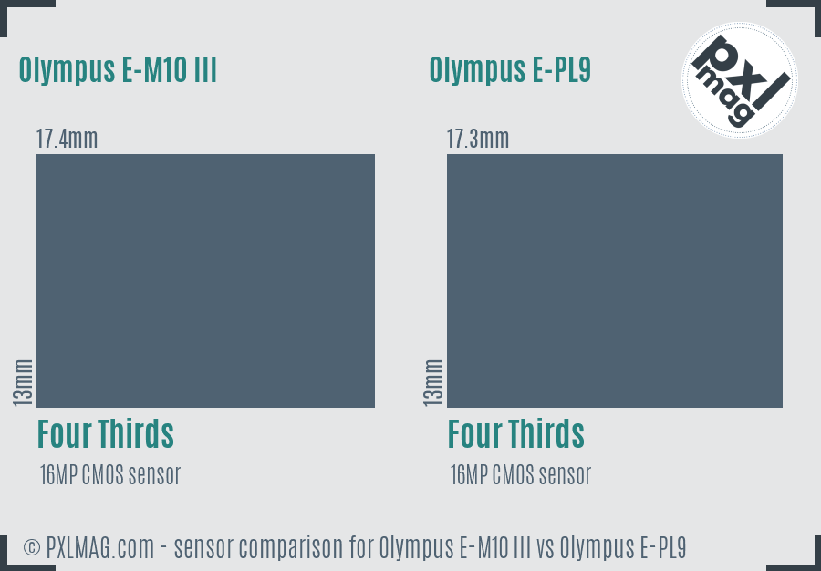 Olympus E-M10 III vs Olympus E-PL9 sensor size comparison