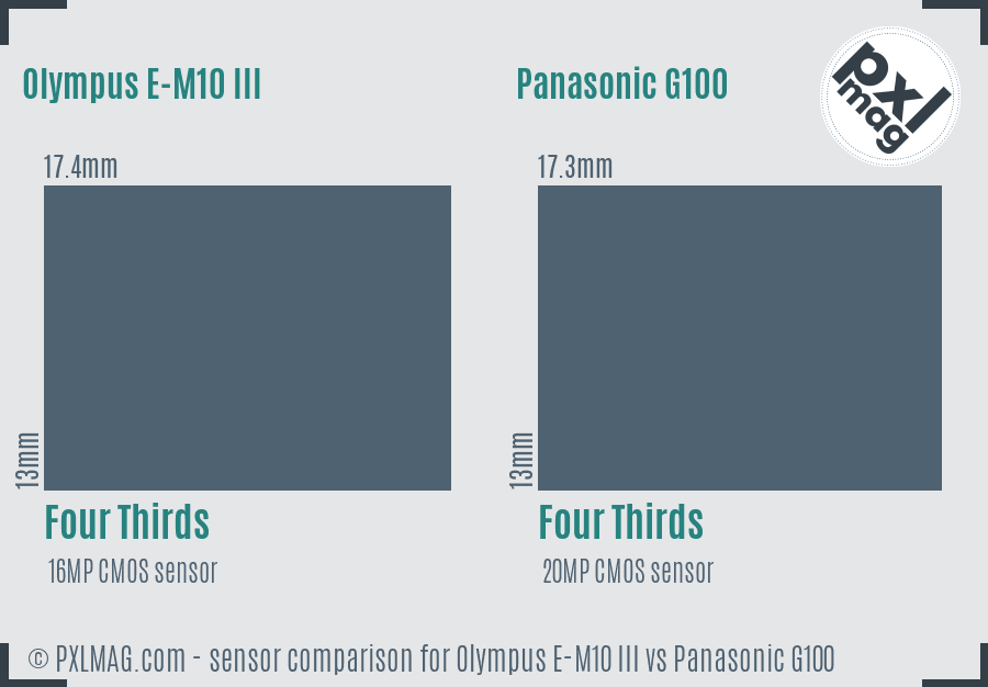 Olympus E-M10 III vs Panasonic G100 sensor size comparison