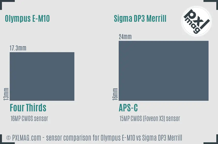 Olympus E-M10 vs Sigma DP3 Merrill sensor size comparison