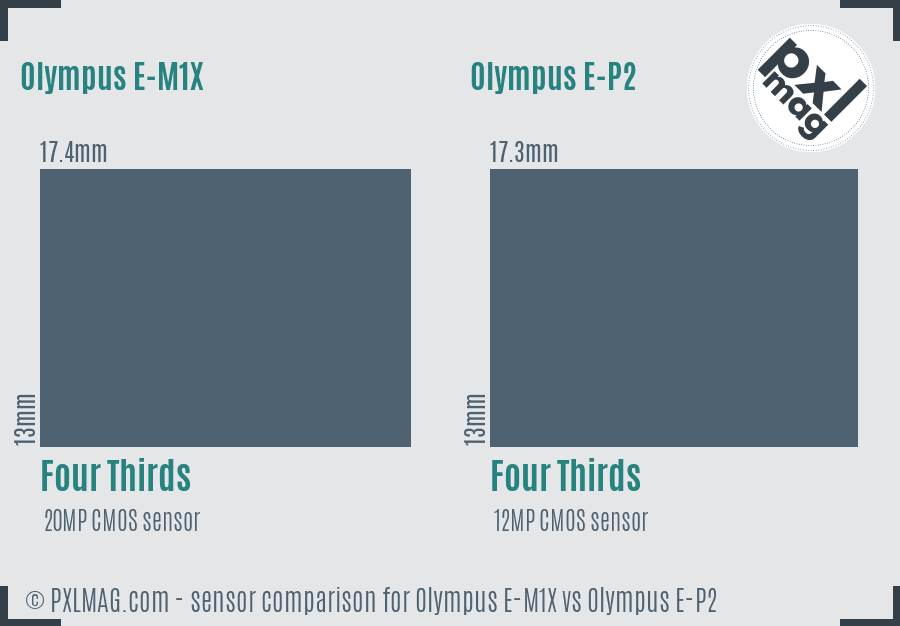 Olympus E-M1X vs Olympus E-P2 sensor size comparison