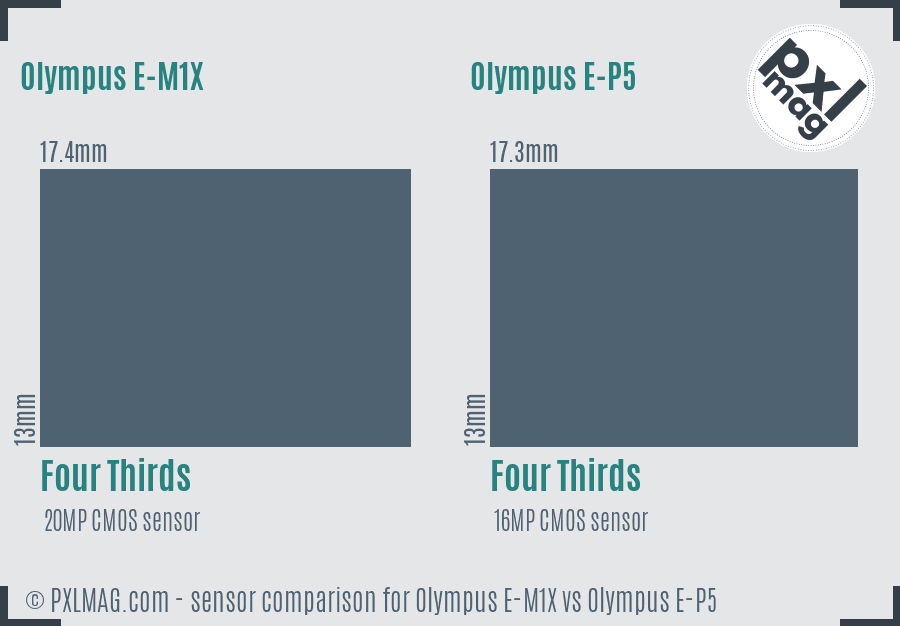 Olympus E-M1X vs Olympus E-P5 sensor size comparison