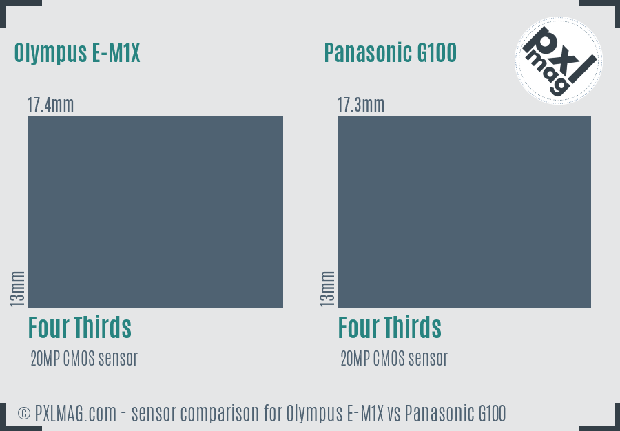 Olympus E-M1X vs Panasonic G100 sensor size comparison