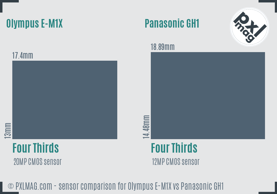 Olympus E-M1X vs Panasonic GH1 sensor size comparison