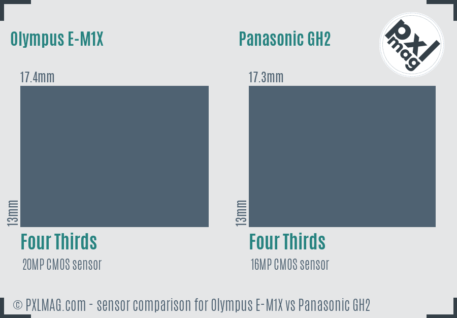 Olympus E-M1X vs Panasonic GH2 sensor size comparison