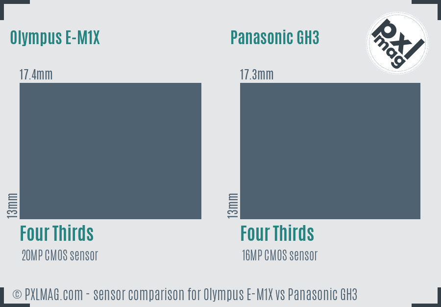 Olympus E-M1X vs Panasonic GH3 sensor size comparison