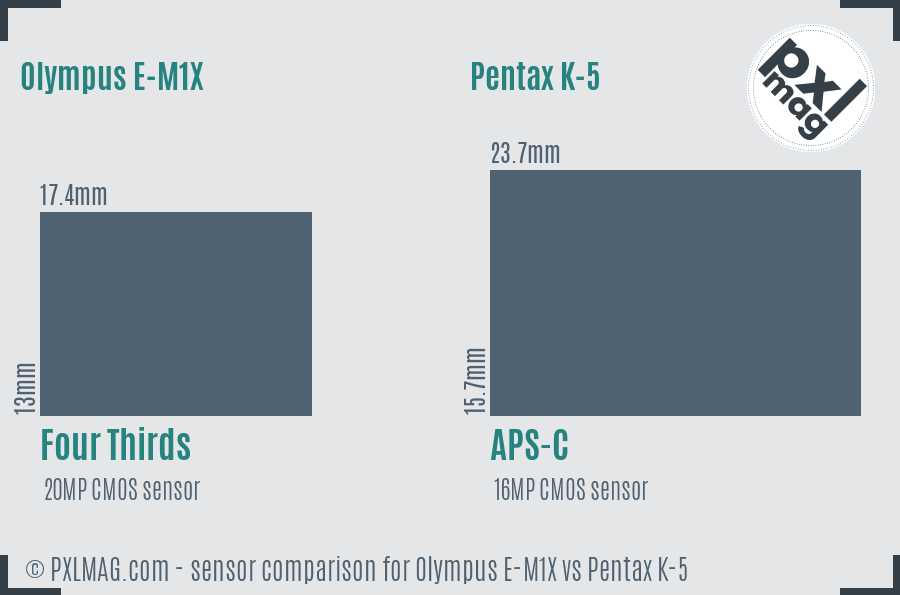Olympus E-M1X vs Pentax K-5 sensor size comparison