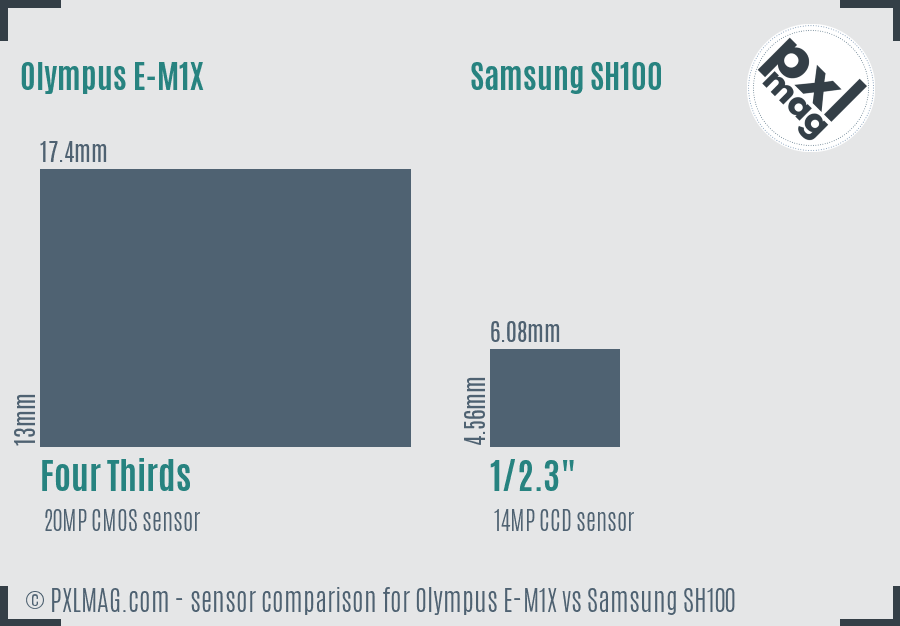 Olympus E-M1X vs Samsung SH100 sensor size comparison