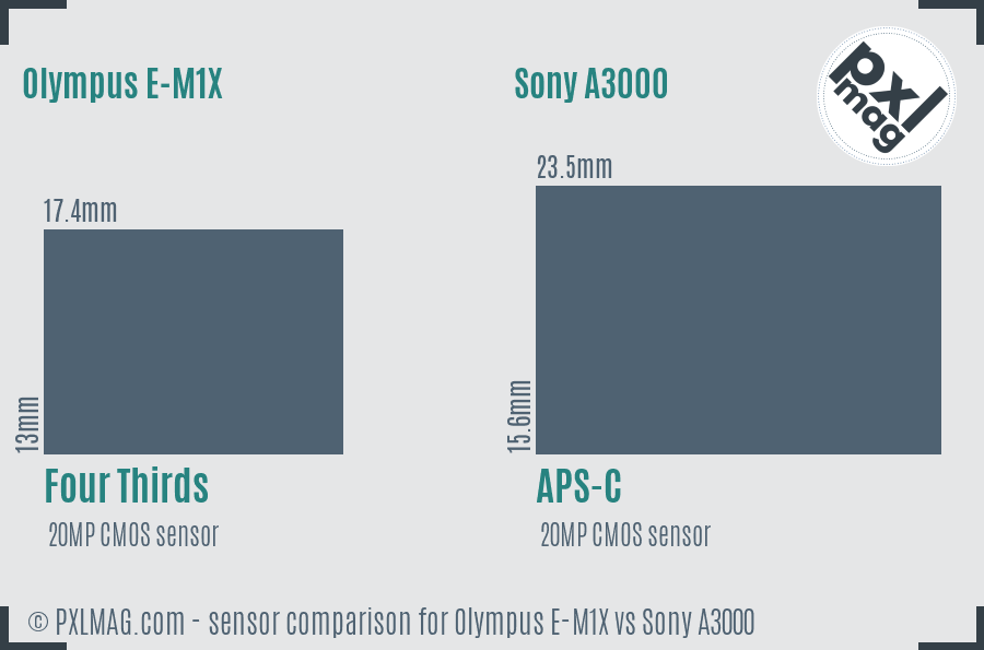 Olympus E-M1X vs Sony A3000 sensor size comparison
