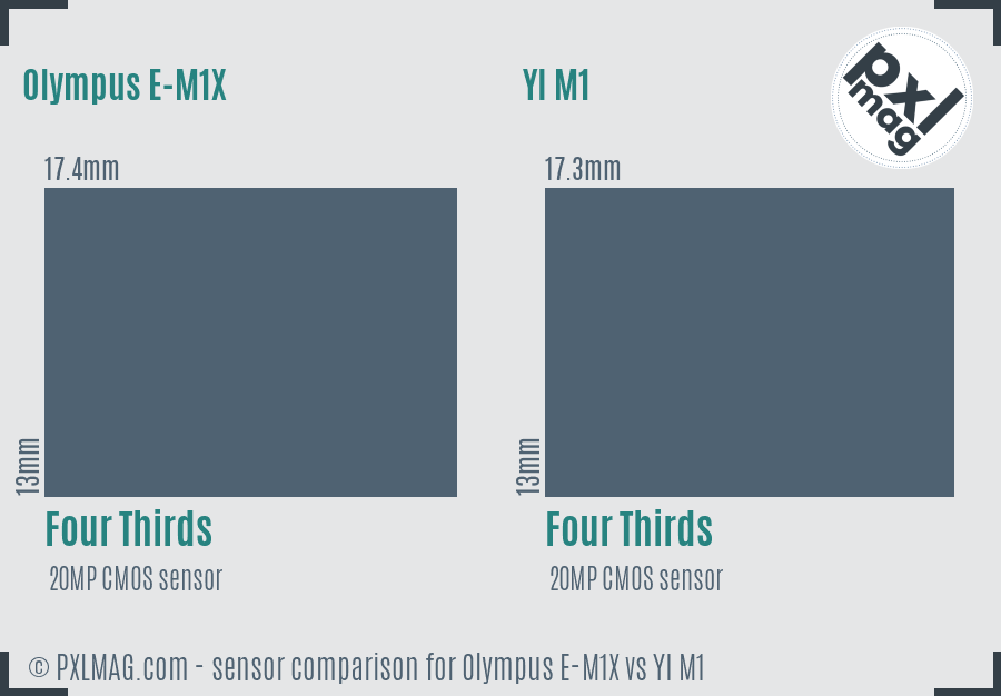 Olympus E-M1X vs YI M1 sensor size comparison Olympus E-M1X vs YI M1 sensor size comparison