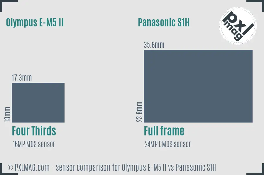 Olympus E-M5 II vs Panasonic S1H sensor size comparison
