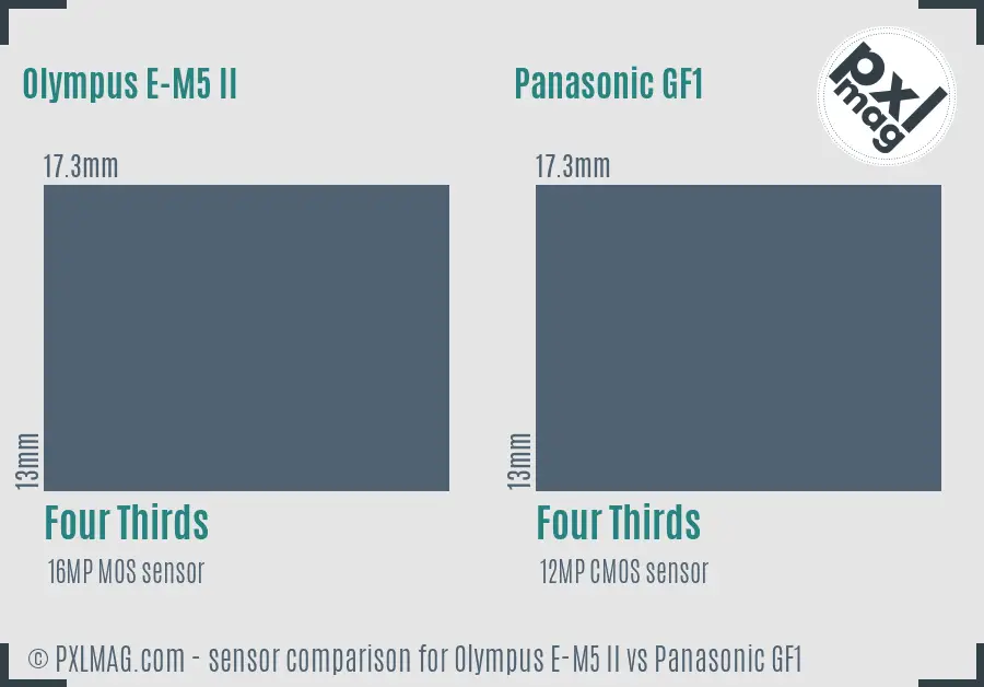 Olympus E-M5 II vs Panasonic GF1 sensor size comparison