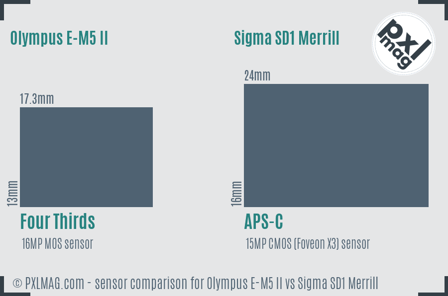 Olympus E-M5 II vs Sigma SD1 Merrill sensor size comparison