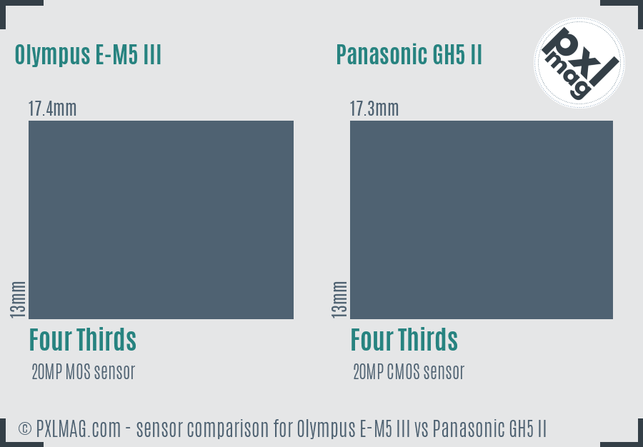 Olympus E-M5 III vs Panasonic GH5 II sensor size comparison