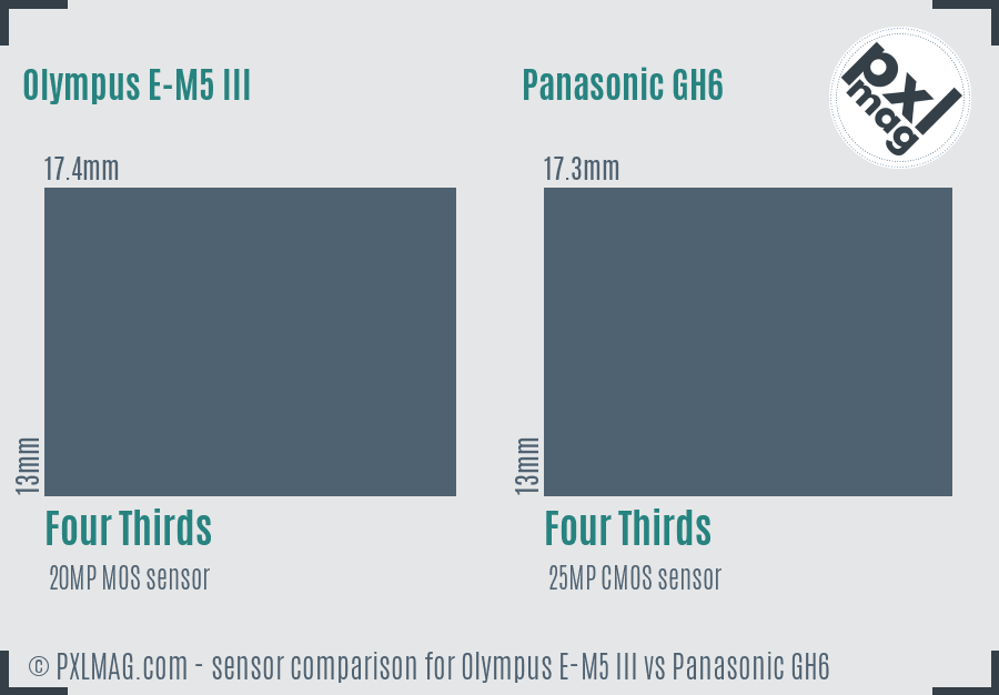 Olympus E-M5 III vs Panasonic GH6 sensor size comparison