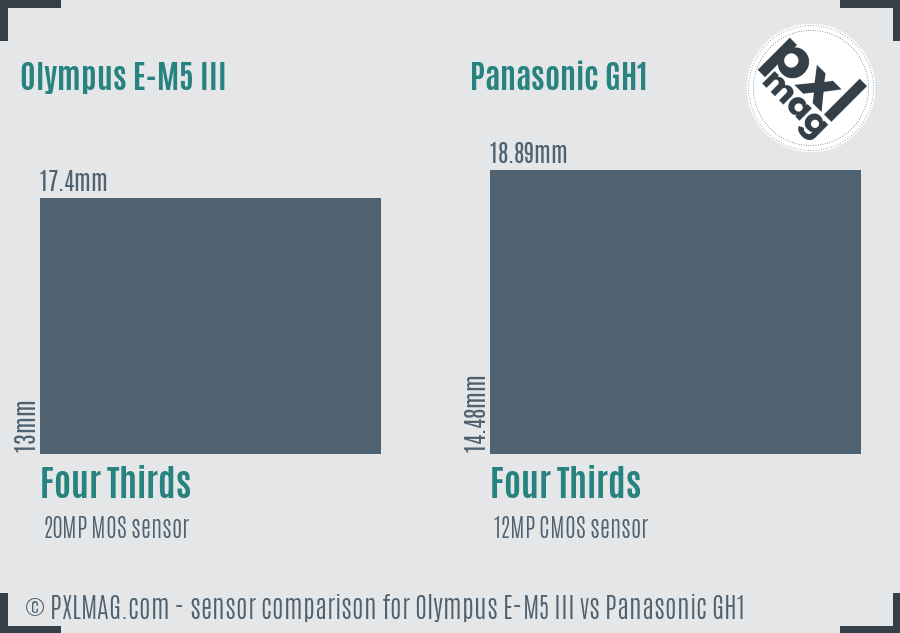 Olympus E-M5 III vs Panasonic GH1 sensor size comparison