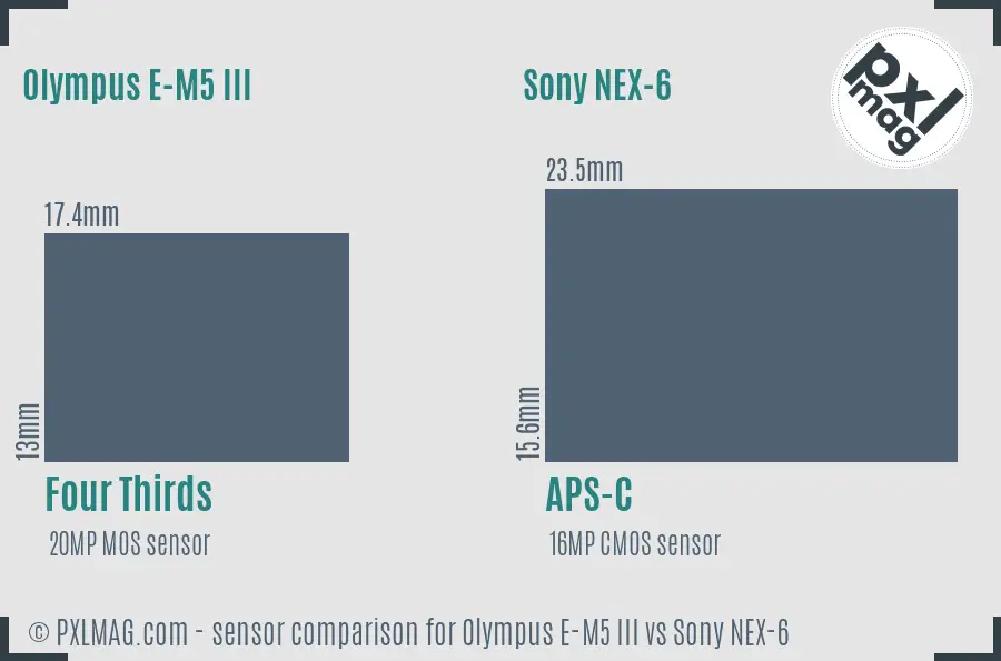 Olympus E-M5 III vs Sony NEX-6 sensor size comparison
