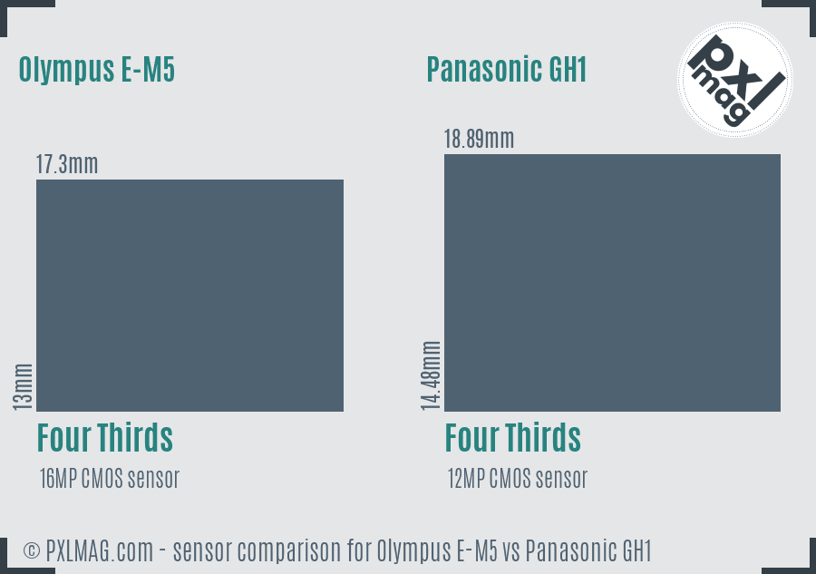 Olympus E-M5 vs Panasonic GH1 sensor size comparison