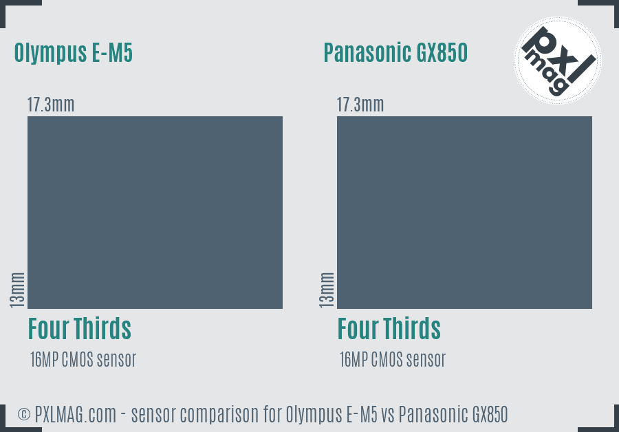 Olympus E-M5 vs Panasonic GX850 sensor size comparison