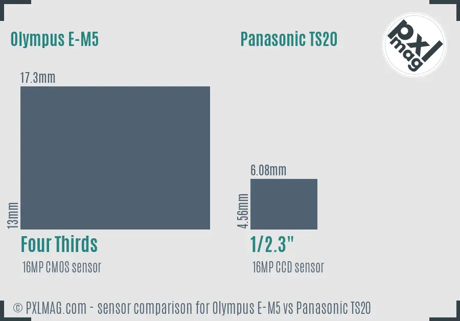 Olympus E-M5 vs Panasonic TS20 sensor size comparison