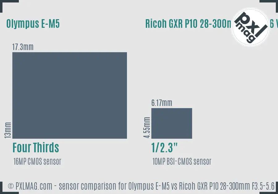Olympus E-M5 vs Ricoh GXR P10 28-300mm F3.5-5.6 VC sensor size comparison