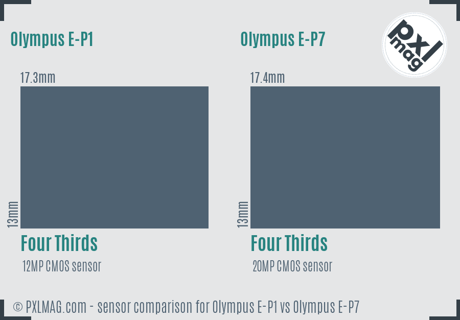 Olympus E-P1 vs Olympus E-P7 sensor size comparison