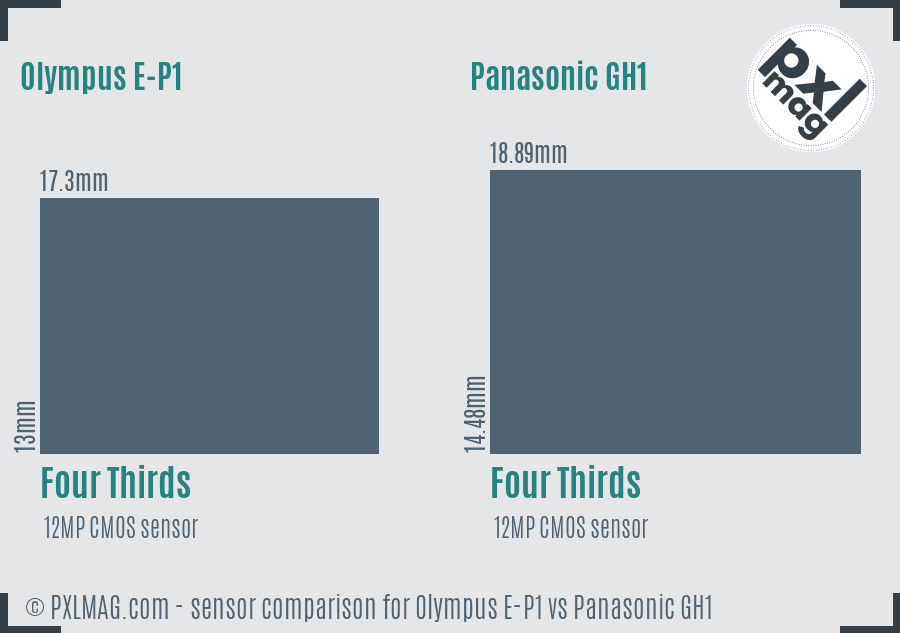 Olympus E-P1 vs Panasonic GH1 sensor size comparison