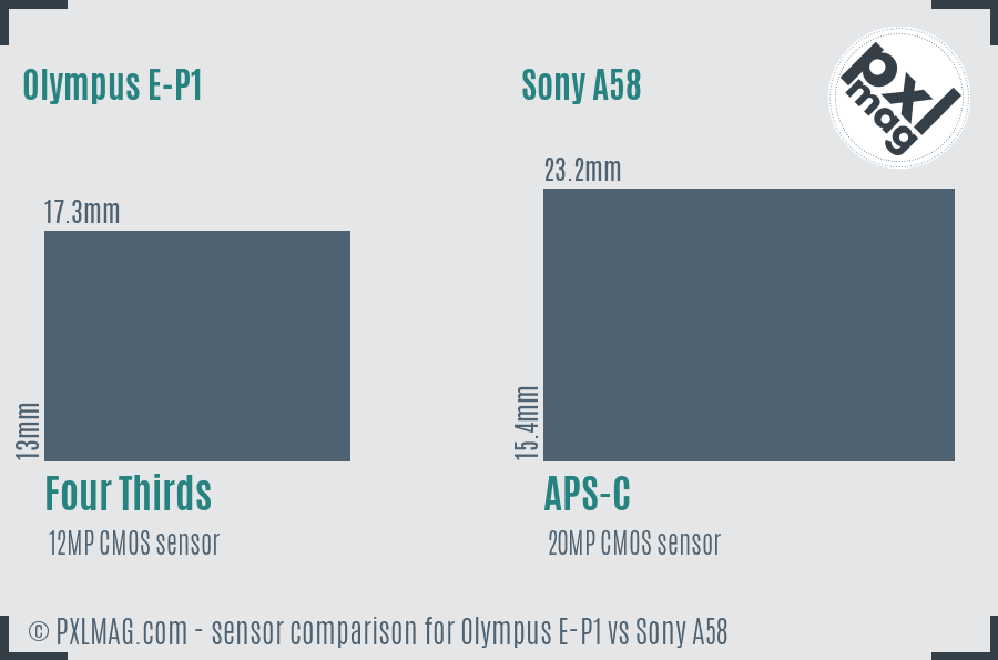 Olympus E-P1 vs Sony A58 sensor size comparison