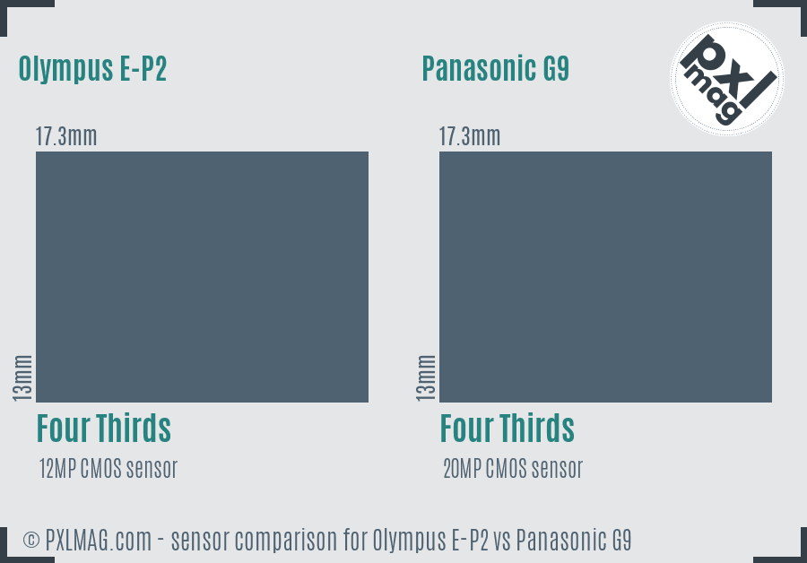Olympus E-P2 vs Panasonic G9 sensor size comparison
