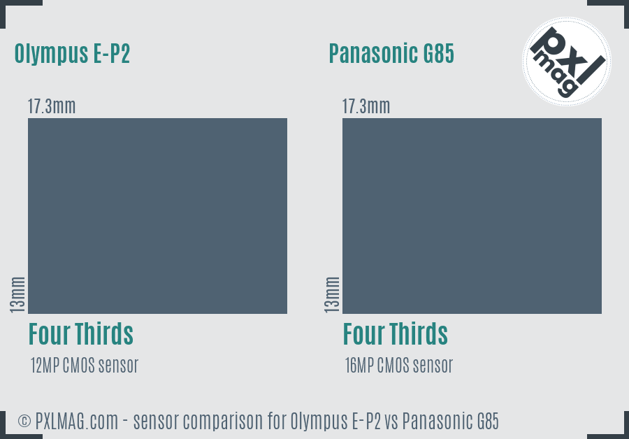 Olympus E-P2 vs Panasonic G85 sensor size comparison