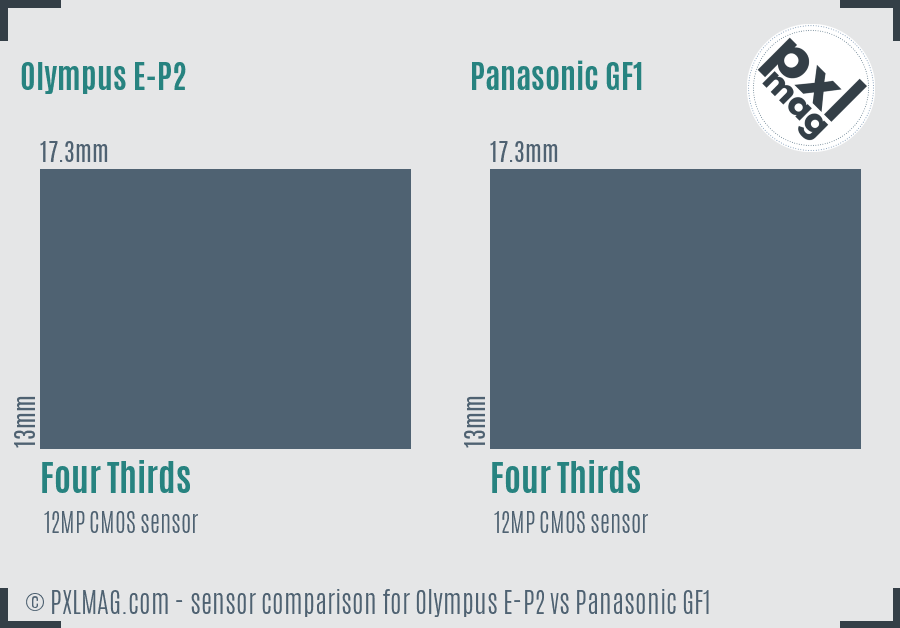 Olympus E-P2 vs Panasonic GF1 sensor size comparison