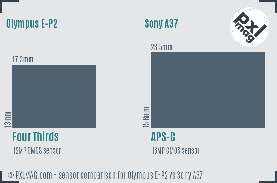 Olympus E-P2 vs Sony A37 sensor size comparison