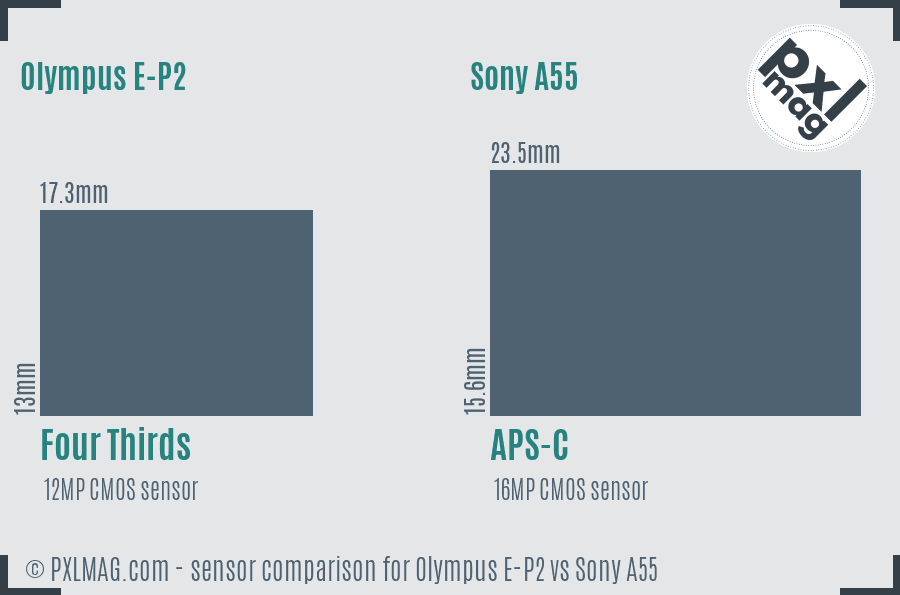 Olympus E-P2 vs Sony A55 sensor size comparison