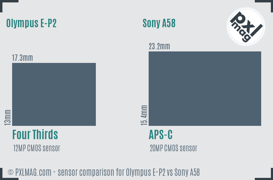 Olympus E-P2 vs Sony A58 sensor size comparison