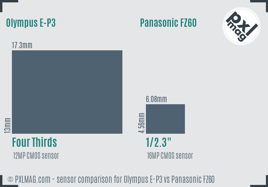Olympus E-P3 vs Panasonic FZ60 sensor size comparison
