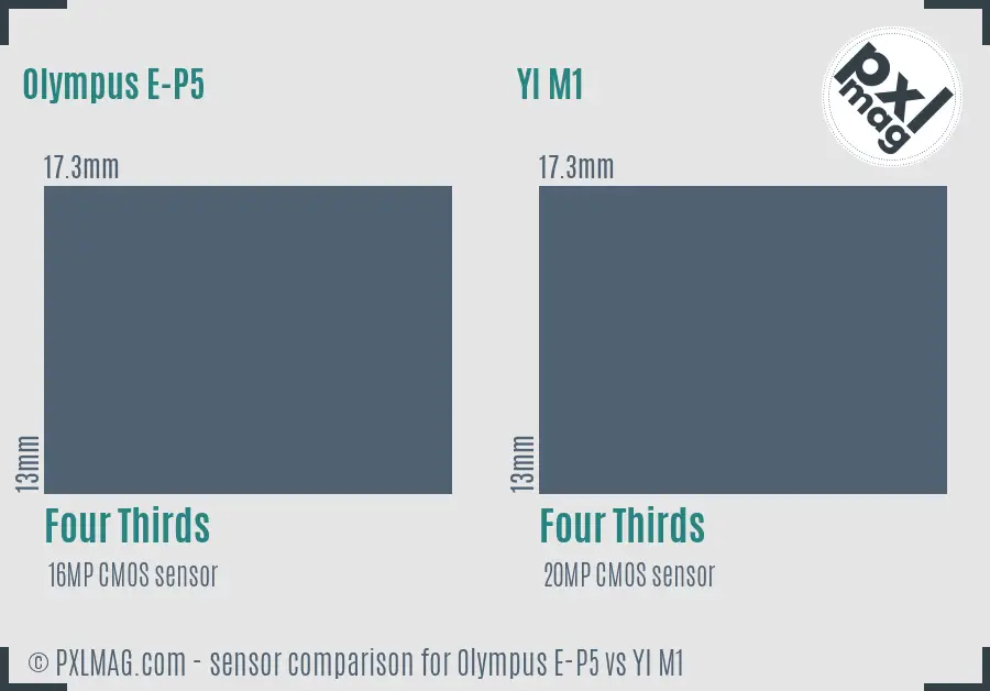 Olympus E-P5 vs YI M1 sensor size comparison