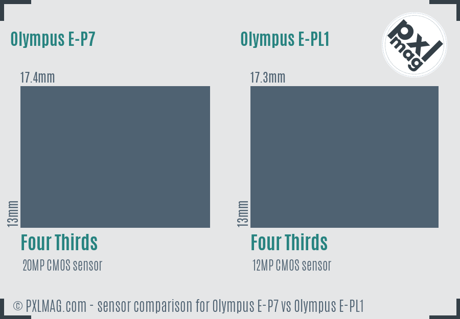 Olympus E-P7 vs Olympus E-PL1 sensor size comparison