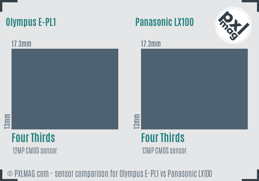 Olympus E-PL1 vs Panasonic LX100 sensor size comparison
