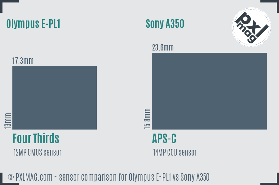 Olympus E-PL1 vs Sony A350 sensor size comparison