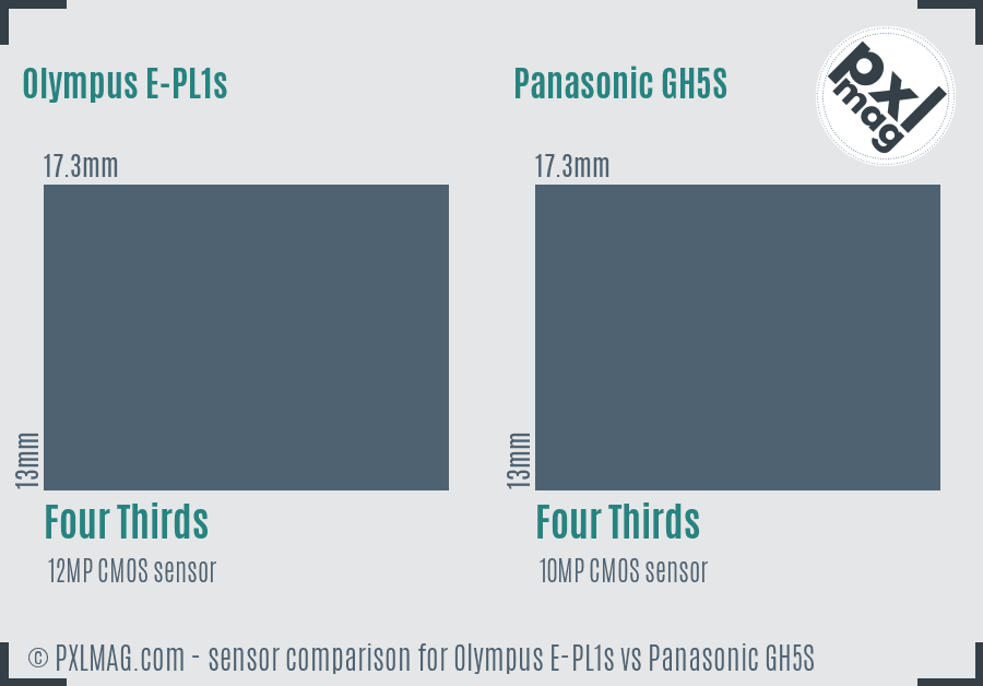 Olympus E-PL1s vs Panasonic GH5S sensor size comparison