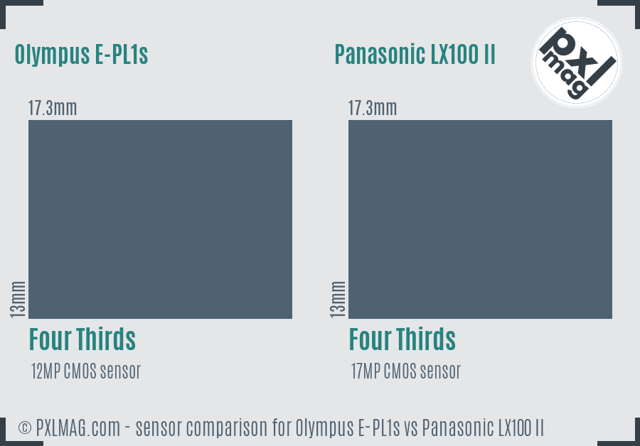Olympus E-PL1s vs Panasonic LX100 II sensor size comparison