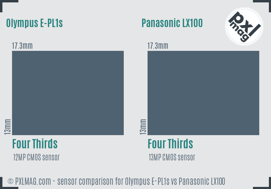 Olympus E-PL1s vs Panasonic LX100 sensor size comparison