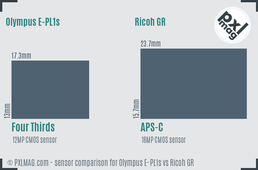 Olympus E-PL1s vs Ricoh GR sensor size comparison Olympus E-PL1s vs Ricoh GR sensor size comparison
