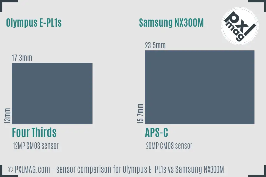 Olympus E-PL1s vs Samsung NX300M sensor size comparison Olympus E-PL1s vs Samsung NX300M sensor size comparison