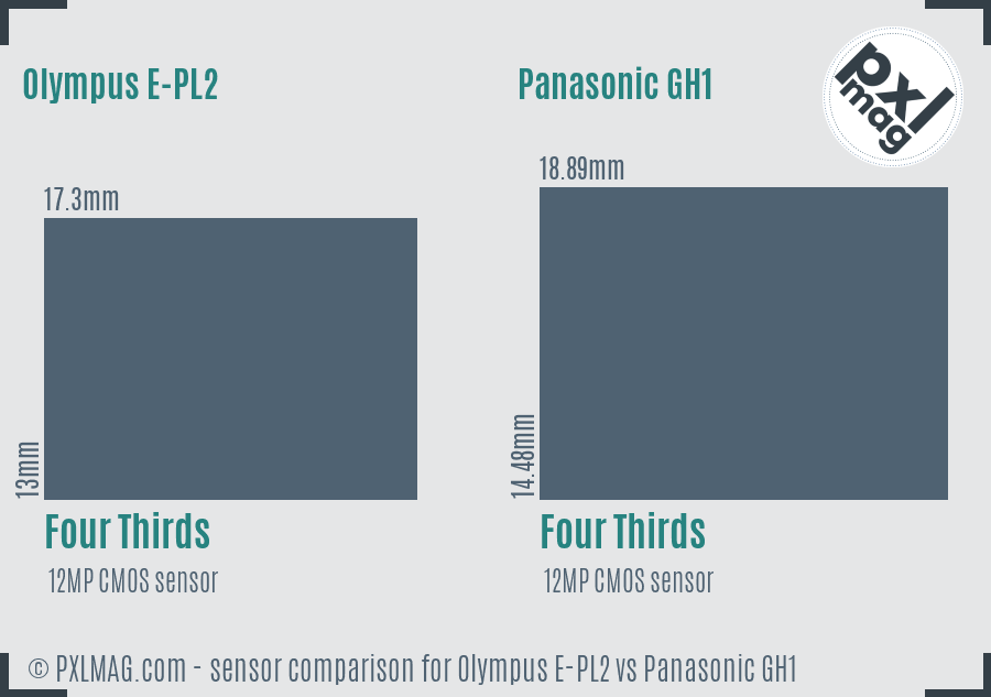 Olympus E-PL2 vs Panasonic GH1 sensor size comparison