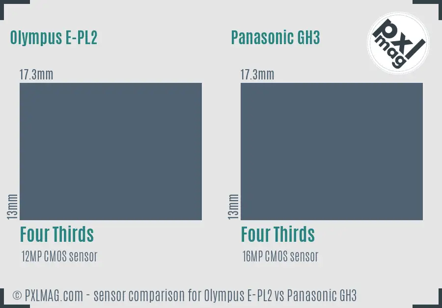 Olympus E-PL2 vs Panasonic GH3 sensor size comparison