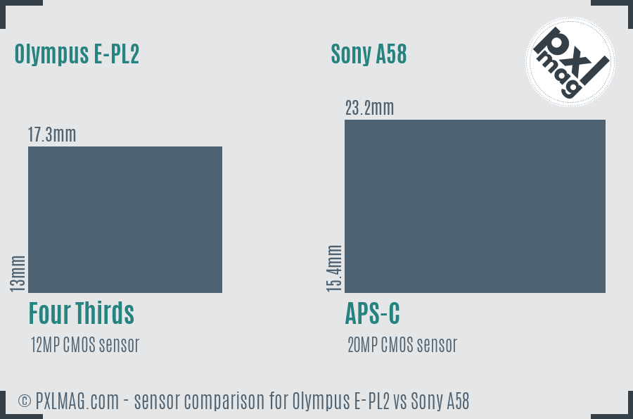 Olympus E-PL2 vs Sony A58 sensor size comparison