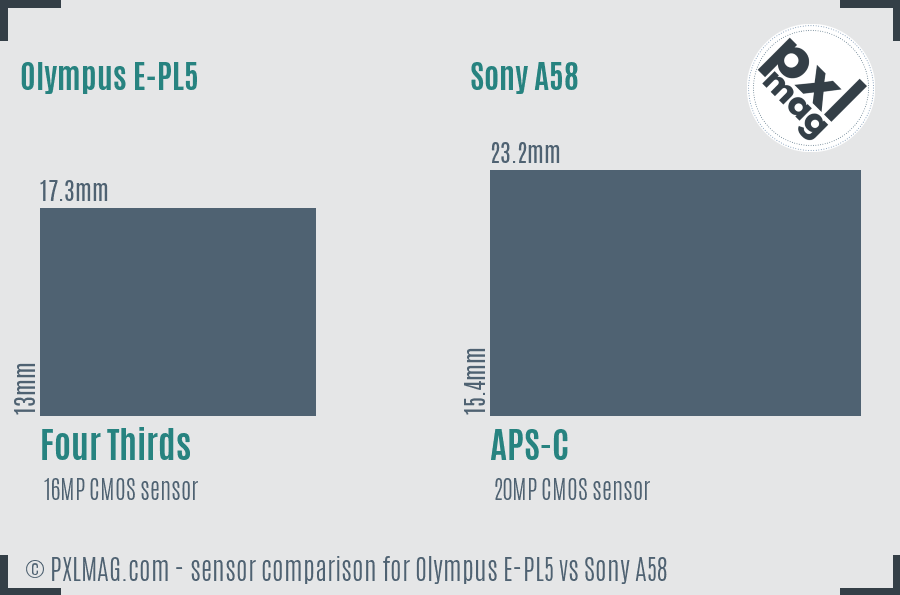 Olympus E-PL5 vs Sony A58 sensor size comparison