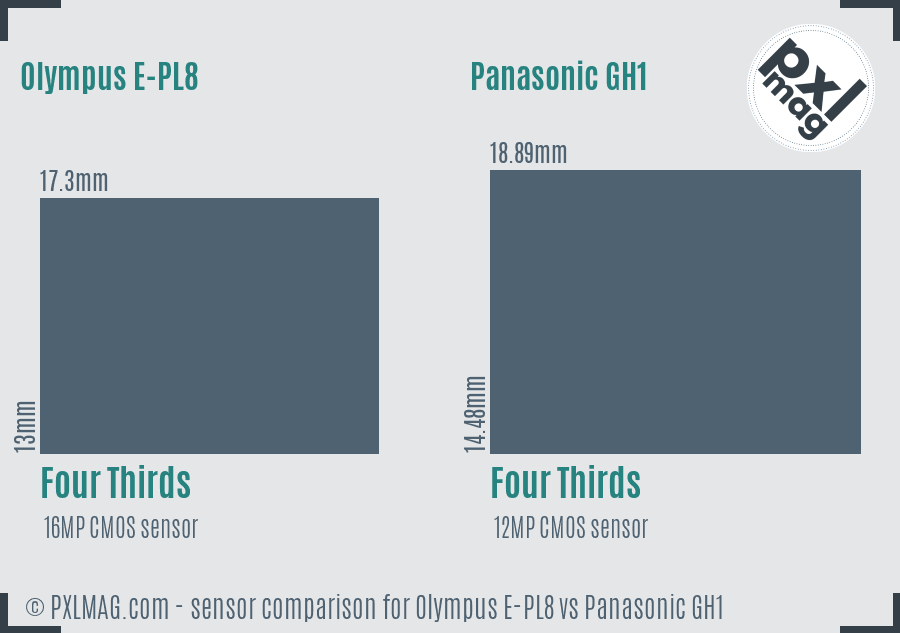 Olympus E-PL8 vs Panasonic GH1 sensor size comparison